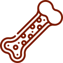Icon of bone