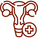 Gynecology and reproductive health icon showing a stylized female reproductive system with a medical cross in dark red.